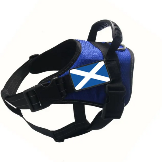 Saltire Utility patch