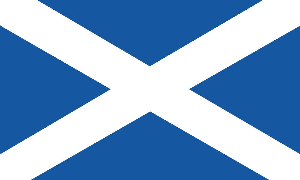 Saltire Driving licence cover sticker