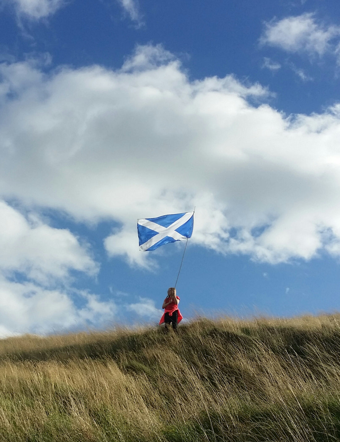 A young girl holding a Saltire in the air at a Scottish Independence rally 